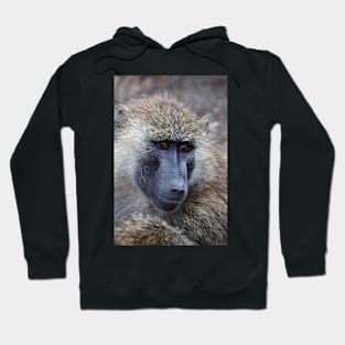 Olive Baboon Portrait Hoodie